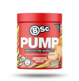 Pump